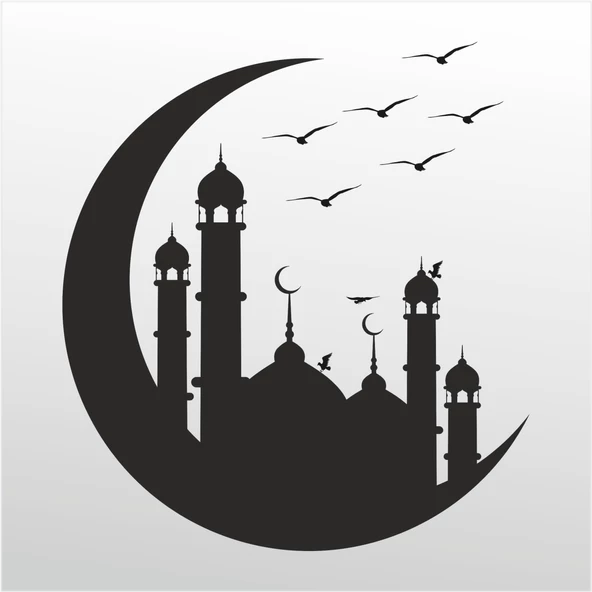 Folyo Sticker Martı ürün görseli 1