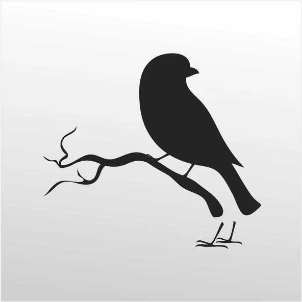 Folyo Sticker Kuş ürün görseli 1