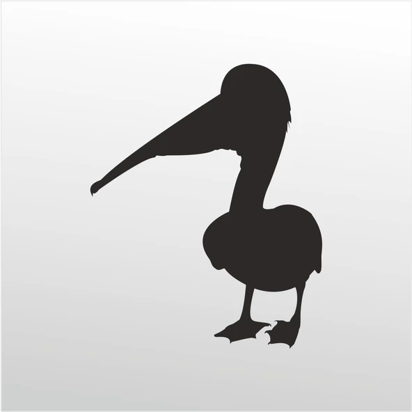 Folyo Sticker Pelikan ürün görseli 1