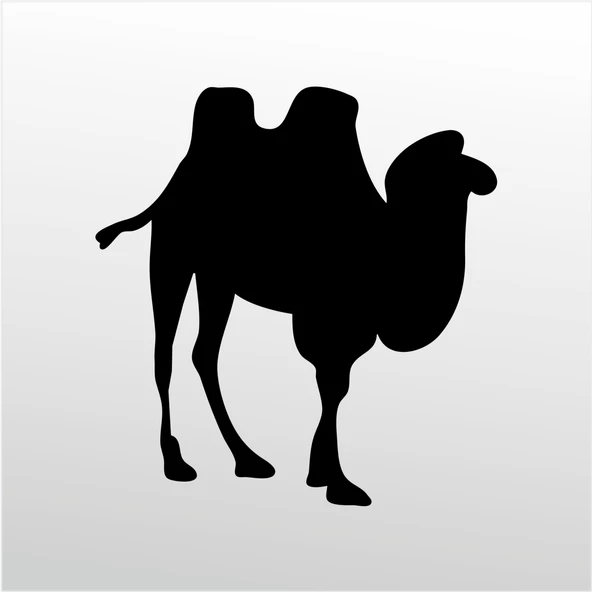 Folyo Sticker Deve ürün görseli 1