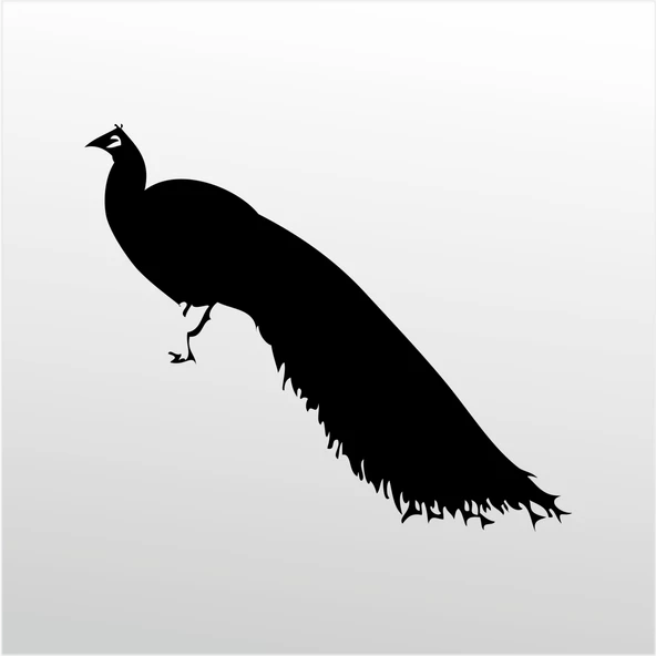 Folyo Sticker Tavuz Kuşu ürün görseli 1