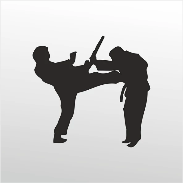 Folyo Sticker Taekwondo ürün görseli 1