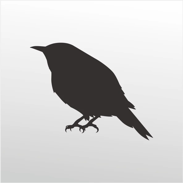 Folyo Sticker Serçe ürün görseli 1