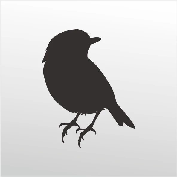 Folyo Sticker Serçe ürün görseli 1