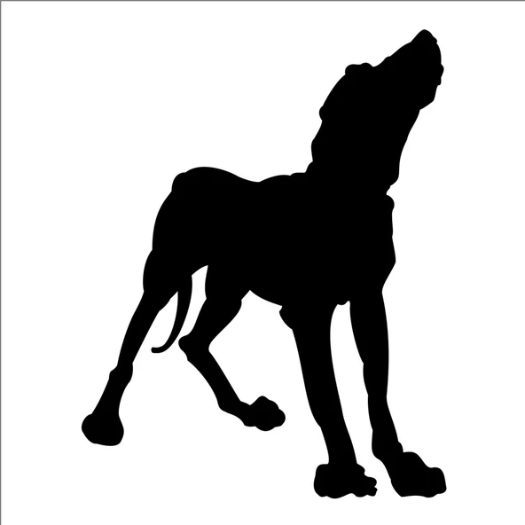 KÖPEK FOLYO STİCKER DERSTV893 ürün görseli 1