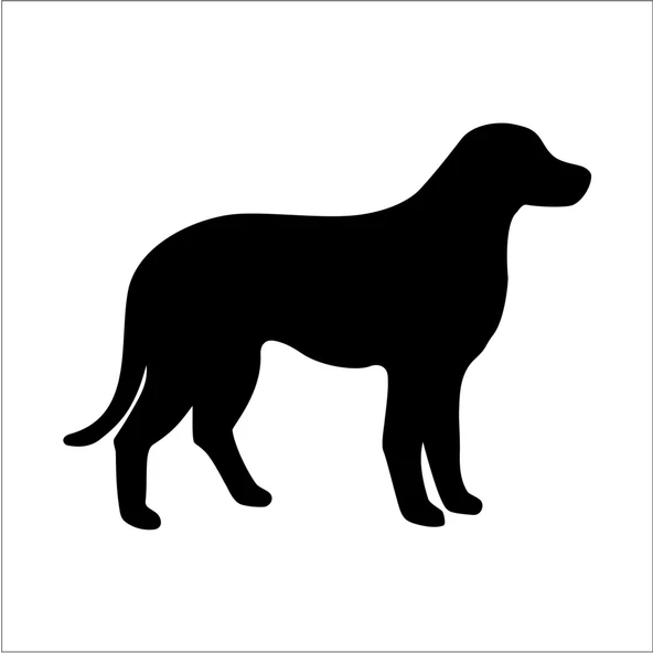 KÖPEK FOLYO STİCKER DERSTV880 ürün görseli 1