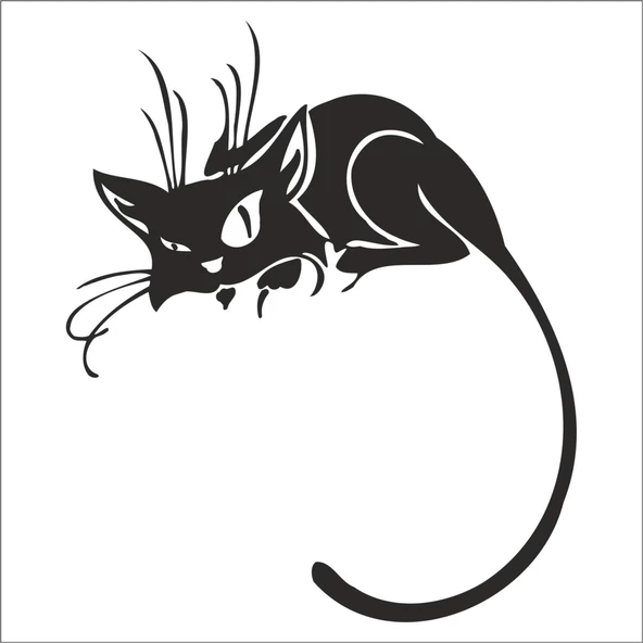 KEDİ FOLYO STİCKER ürün görseli 1