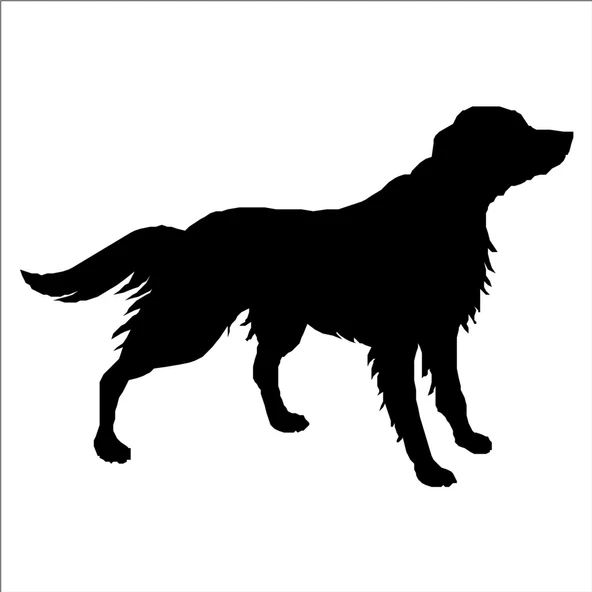 KÖPEK FOLYO STİCKER DERSTV870 ürün görseli 1