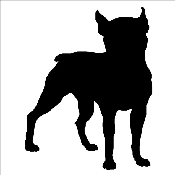 KÖPEK FOLYO STİCKER ürün görseli 1