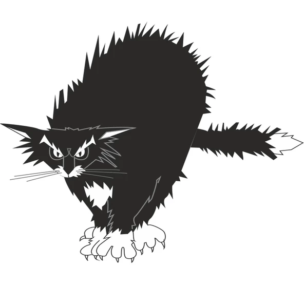 KEDİ FOLYO STİCKER ürün görseli 1