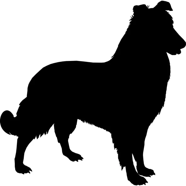 KÖPEK FOLYO STİCKER ürün görseli 1