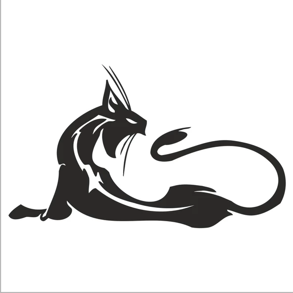KEDİ FOLYO STİCKER ürün görseli 1