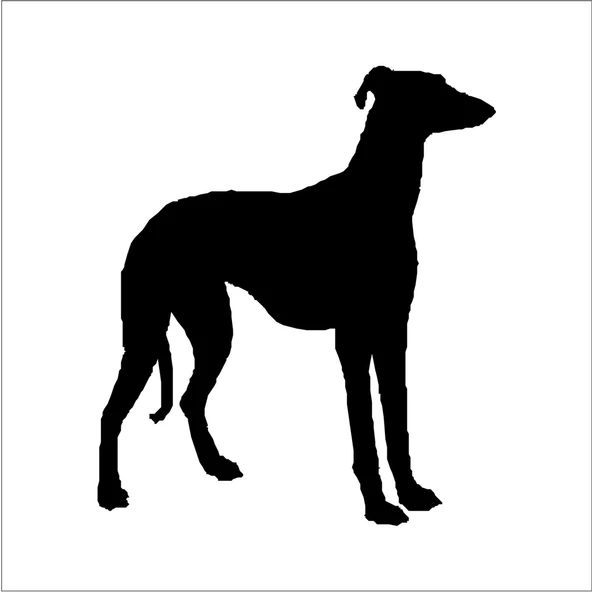 KÖPEK FOLYO STİCKER DERSTV879 ürün görseli 1