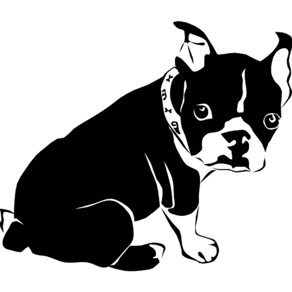 YAVRU KÖPEK FOLYO STİCKER ürün görseli 1