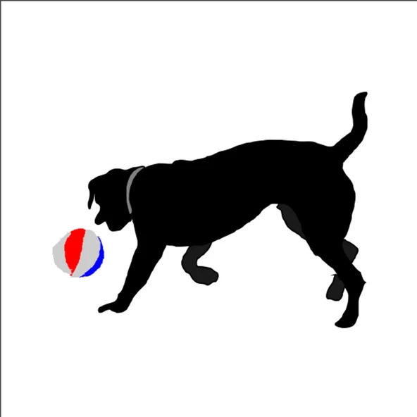 TOP OYNAYAN KÖPEK FOLYO STİCKER ürün görseli 1