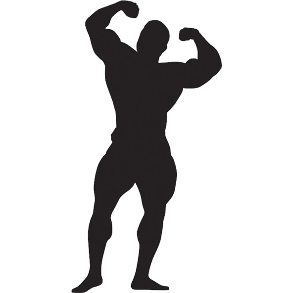 BODY GYM FOLYO STİCKER DERSTV1092 ürün görseli 1