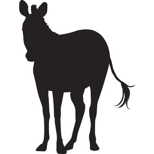 ZEBRA FOLYO STİCKER ürün görseli 1