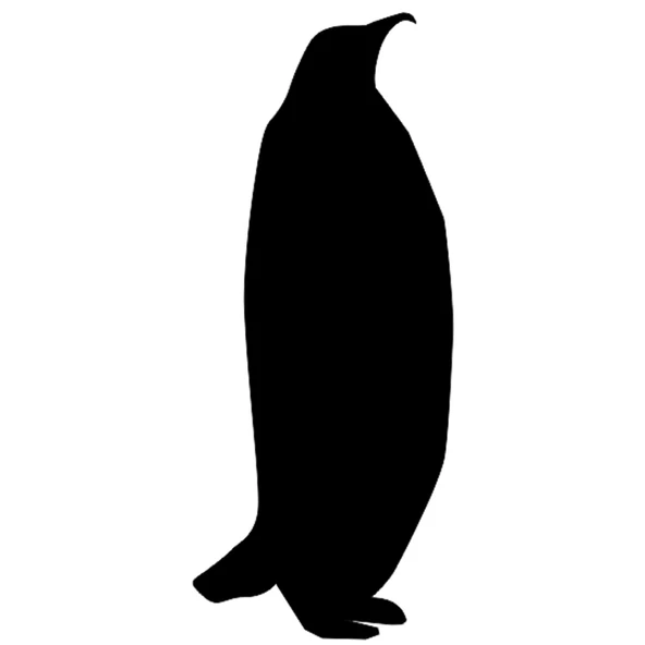 PENGUEN FOLYO STİCKER ürün görseli 1