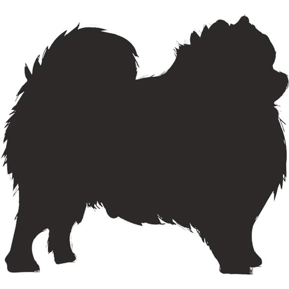 KÖPEK FOLYO STİCKER ürün görseli 1