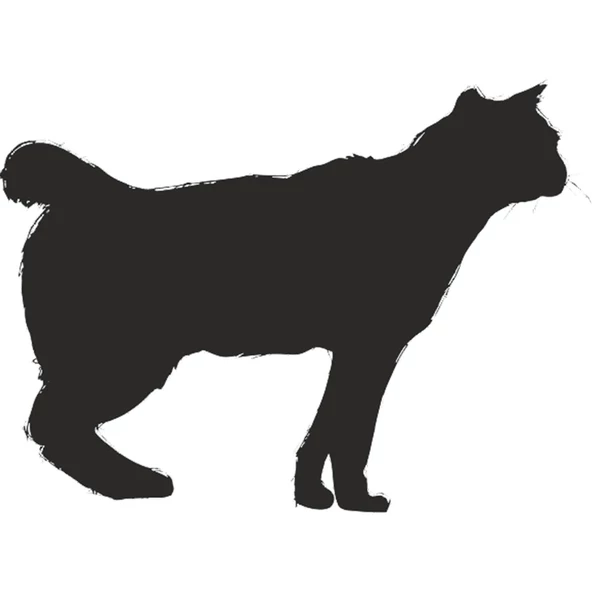 KEDİ FOLYO STİCKER ürün görseli 1