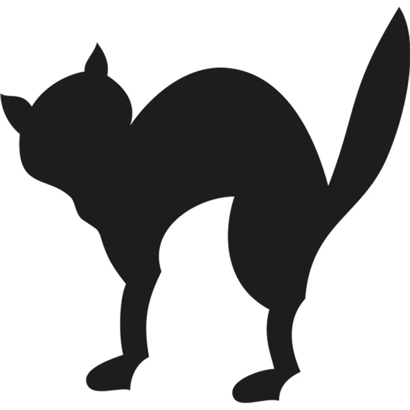 KEDİ FOLYO STİCKER ürün görseli 1