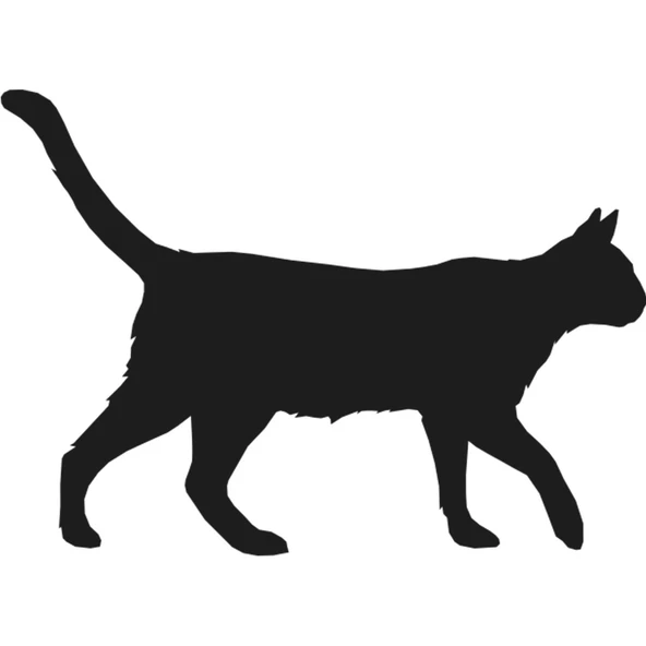 KEDİ FOLYO STİCKER ürün görseli 1