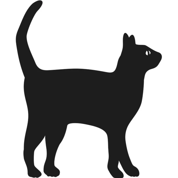 KEDİ FOLYO STİCKER ürün görseli 1