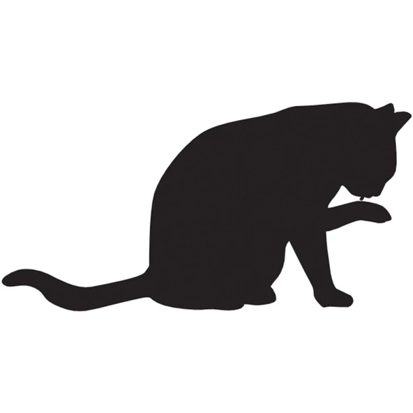 KEDİ FOLYO STİCKER ürün görseli 1