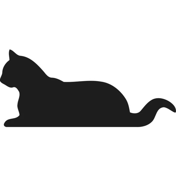 KEDİ FOLYO STİCKER ürün görseli 1