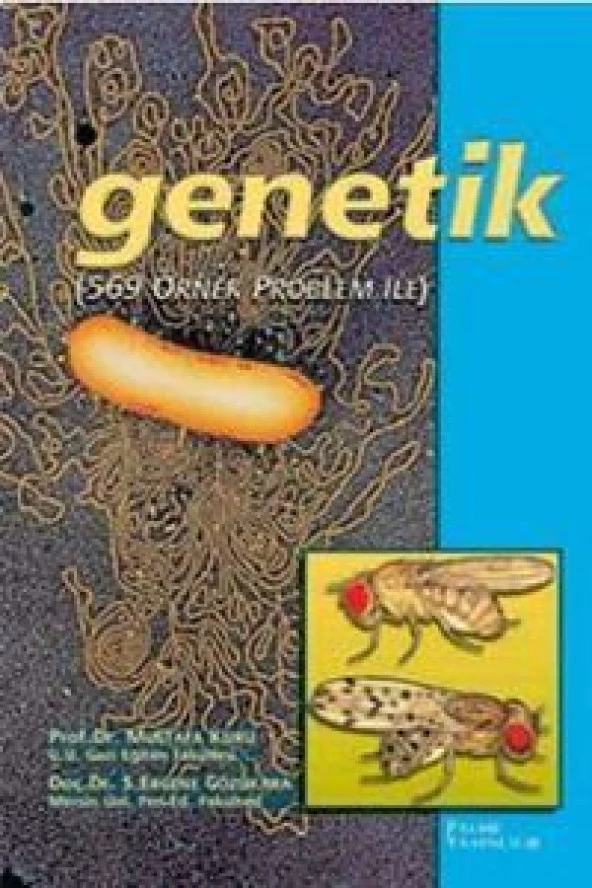 GENETİK ÖRNEK PROBLEMLERLE -PALME ürün görseli 1