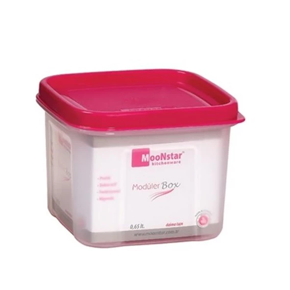 Modüler Çok Amaçlı Saklama Kabı 0,65 Litre BPA FRE- MS-02 ürün görseli 1