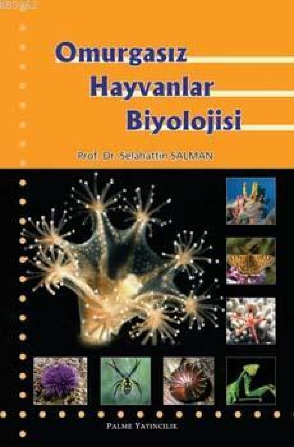 OMURGASIZ HAYVANLAR BİYOLOJİSİ - PALME ürün görseli 1