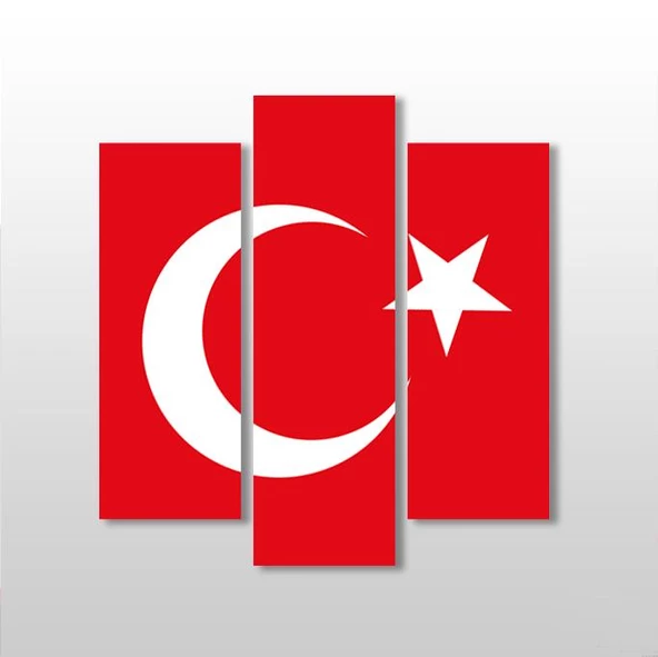 Türk Bayrak Kanvas Tablo ürün görseli 1