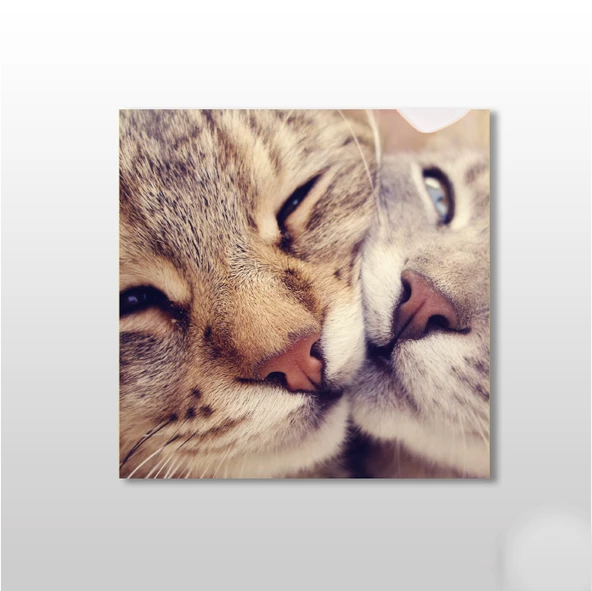Kedi Çift  Kanvas Tablo ürün görseli 1