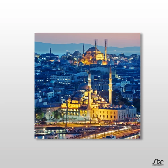 Sepya Süleymaniye Camii Kanvas Tablo ürün görseli 1