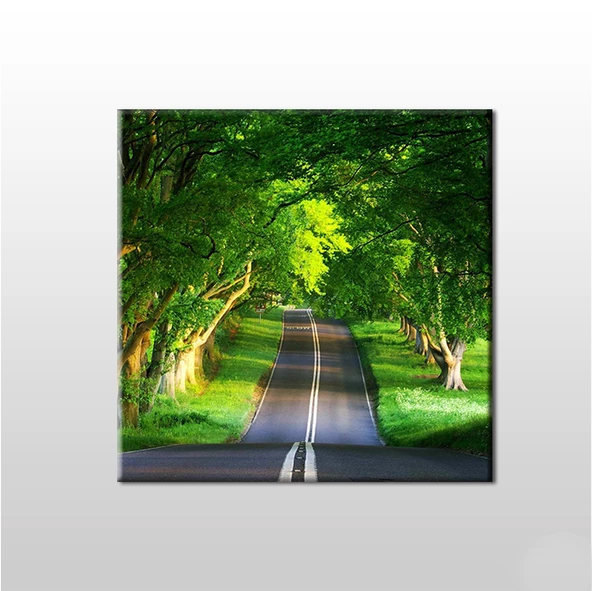 Orman İçindeki Yol Kanvas Tablo ürün görseli 1