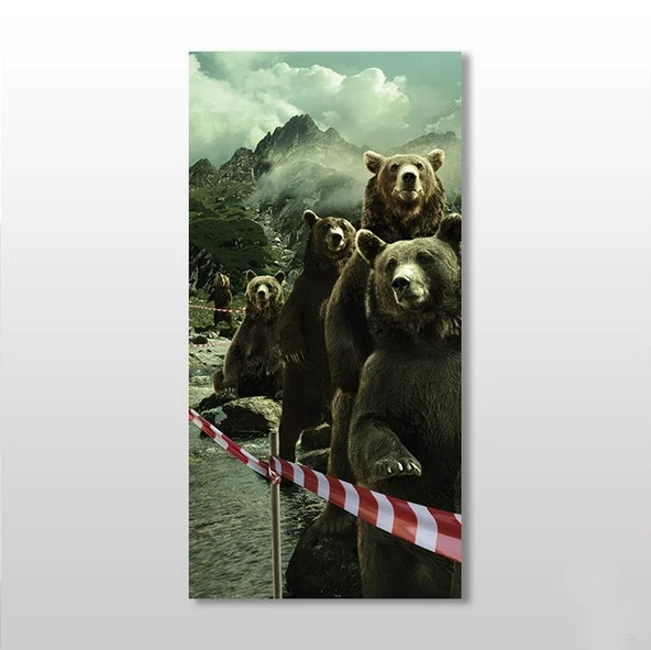 Ayılar Kanvas Tablo ürün görseli 1