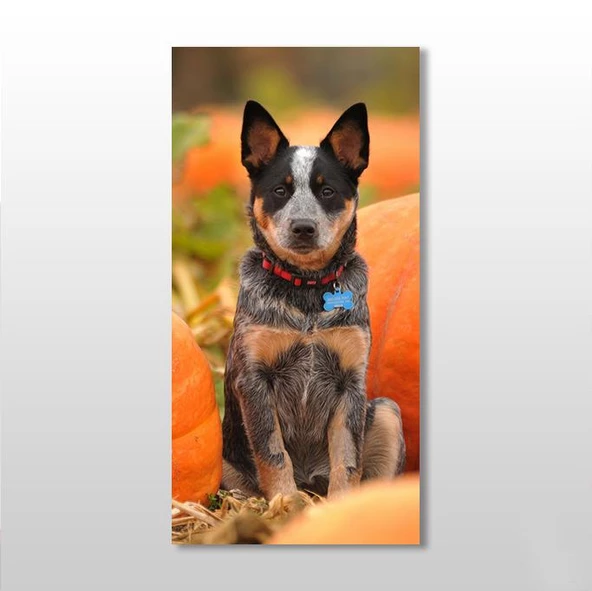 Köpek Kanvas Tablo ürün görseli 1