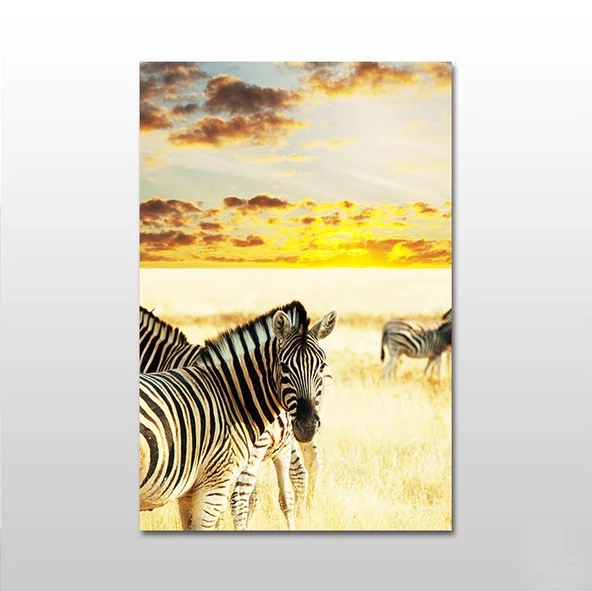 Zebra Kanvas Tablo ürün görseli 1
