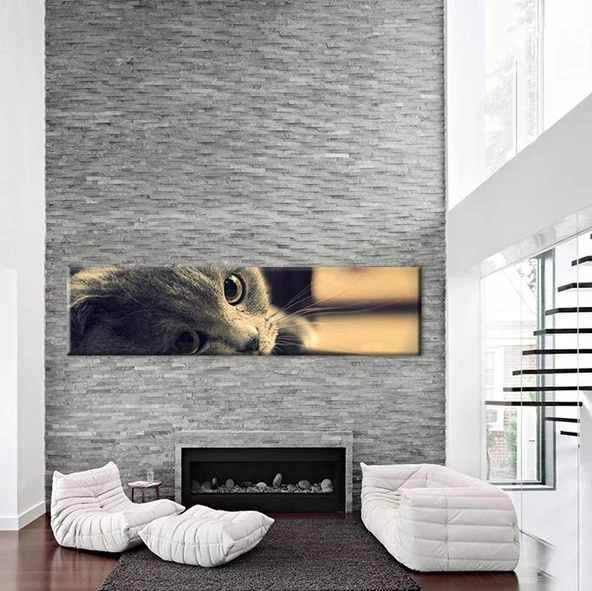 Kedi Kanvas Tablo - Resim 2
