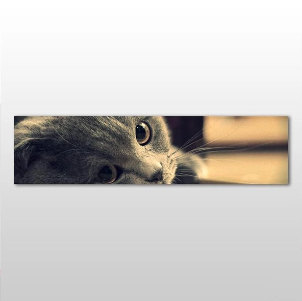 Kedi Kanvas Tablo ürün görseli 1