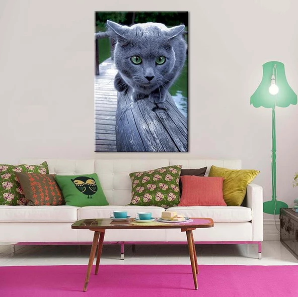 Gri Kedi Kanvas Tablo - Resim 2