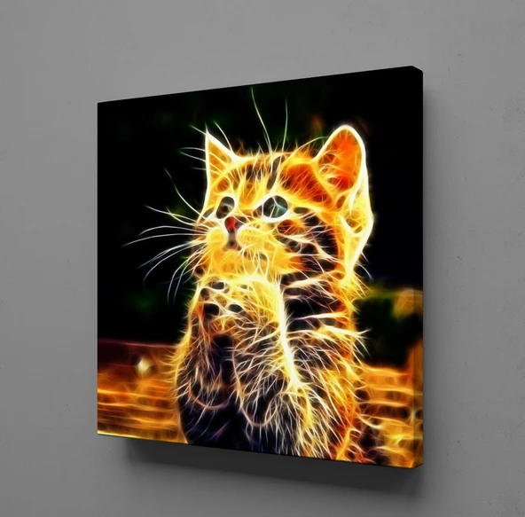 IŞILTILI KEDİ KANVAS TABLO ürün görseli 1