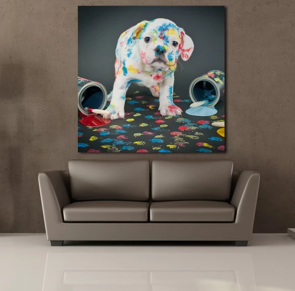 BOYA SIÇRAMIŞ BEYAZ KÖPEK KANVAS TABLO - Resim 2