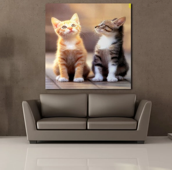 FARKLI RENKTE KEDİ KANVAS TABLO - Resim 2