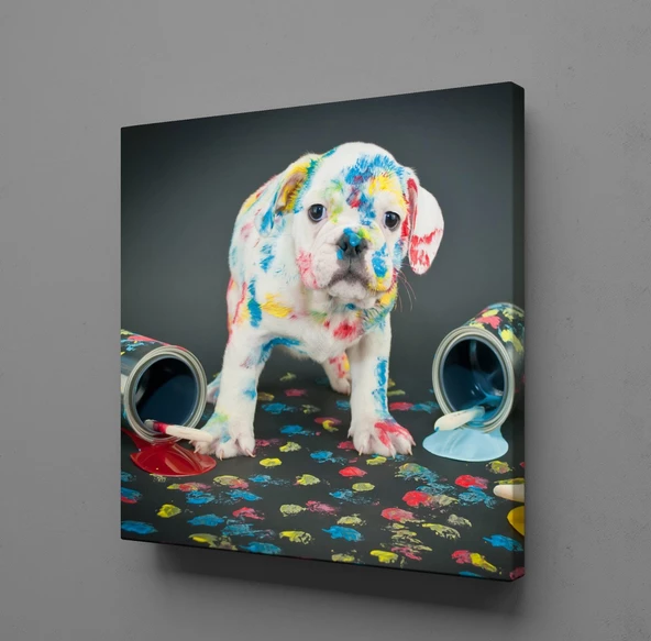 BOYA SIÇRAMIŞ BEYAZ KÖPEK KANVAS TABLO ürün görseli 1