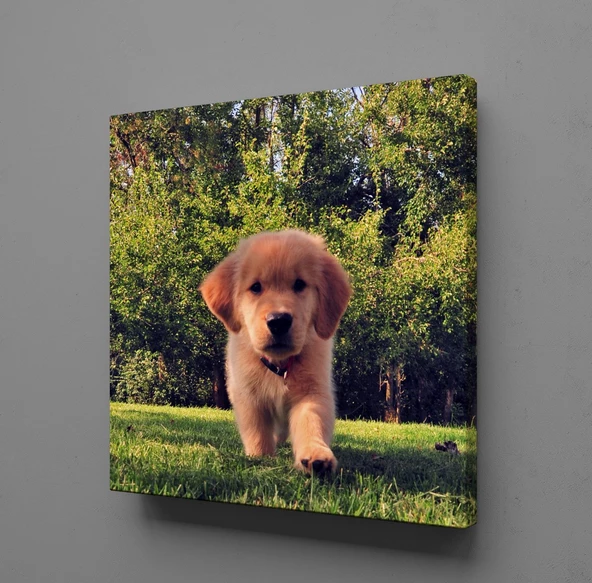 KAHVERENGİ YAVRU KÖPEK KANVAS TABLO ürün görseli 1