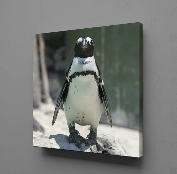 PENGUEN KANVAS TABLO ürün görseli 1