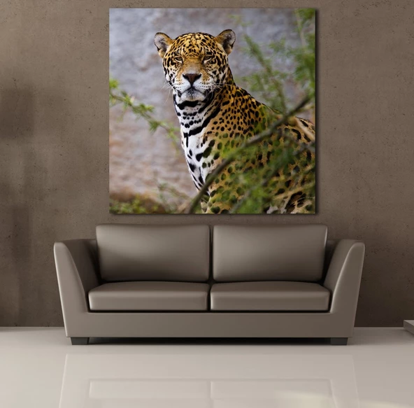 LEOPARIN DURUŞU KANVAS TABLO - Resim 2