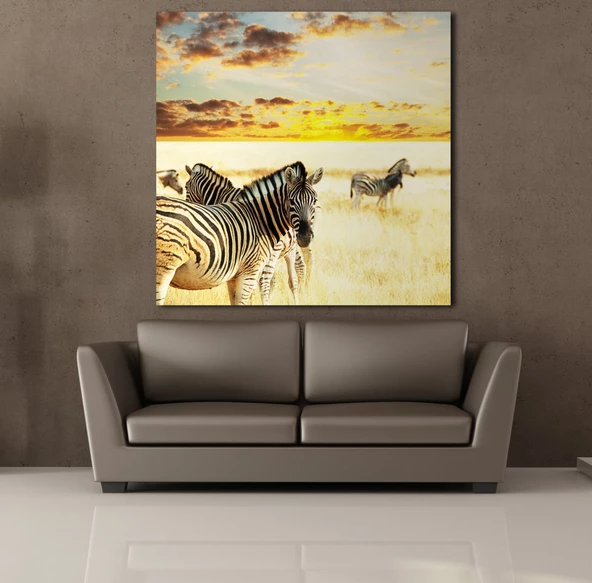 ZEBRA KANVAS TABLO - Resim 2